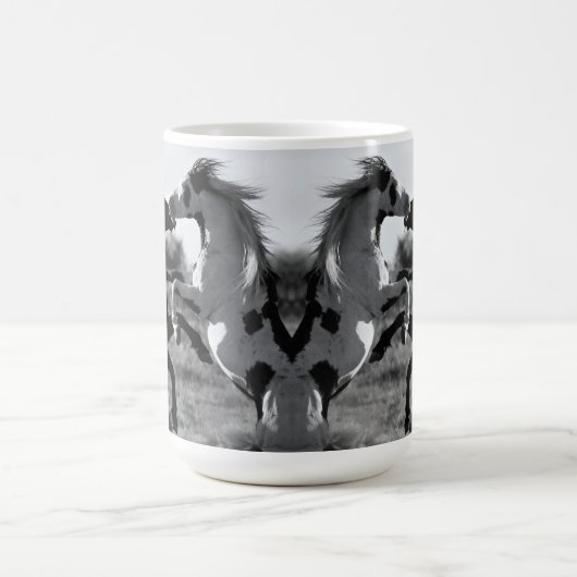 Mok Mustang Stallion (Center)