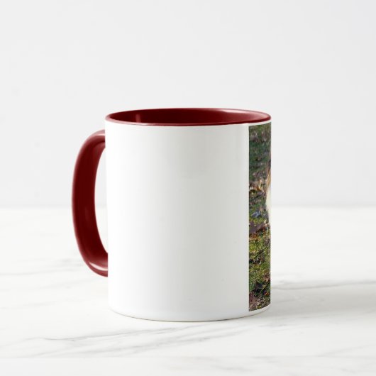 Mok najaar Sheltie (Voorkant links)