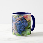 Mok Napa Valley Harvest (Voorkant rechts)