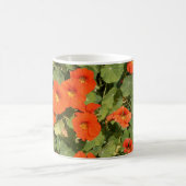 MOK, Nasturtiums, 4473 Koffiemok (Center)