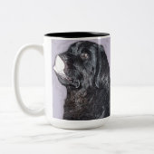 Mok Newfoundland (Links)