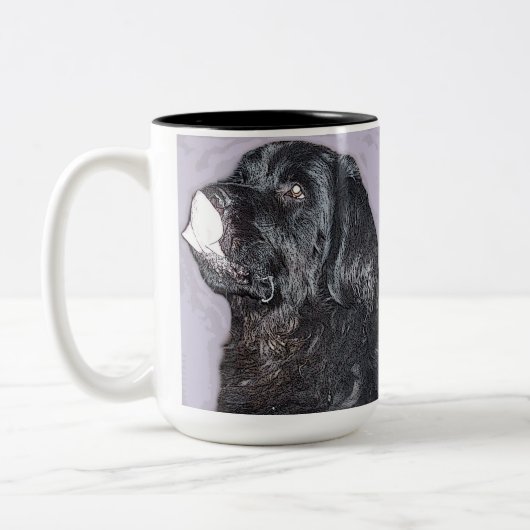 Mok Newfoundland (Links)