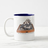 Mok Noahs Ark (Links)