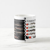 Mok Noord-Amerikaanse Sturgeon RedList (Center)