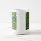 Mok of Stein/ Kan niet beginnen zonder wat er in z (Center)