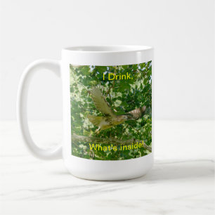 Mok of Stein/ Kan niet beginnen zonder wat er in z