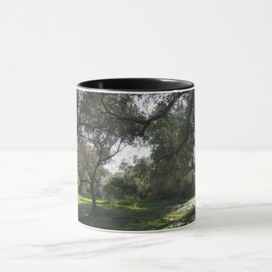 Mok olijfbomen (Midden)