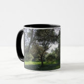 Mok olijfbomen (Voorkant links)