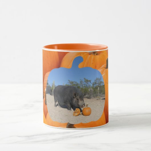 Mok Oolong Pumpkin (Midden)