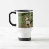 Mok oostelijke grijze eekhoorn (Links)