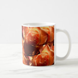mok oranje rozen