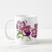 Mok  Orchid Flowers (Links)