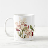 Mok  Orchid Flowers (Links)