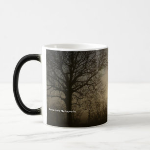 mok 'Oude bomen'