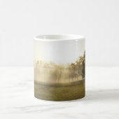 Mok Ozarks Morning Fog Coffee (Center)