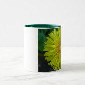 Mok - Paardenbloem (Center)