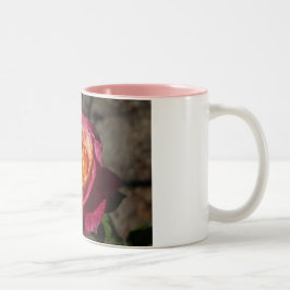Mok Paarse en gele rozenkoffie