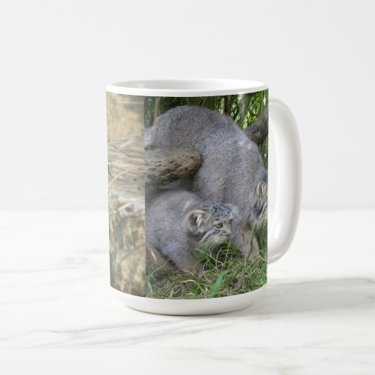 Mok - Pallas's kat (Voorkant rechts)