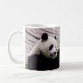 Mok Panda (Links)