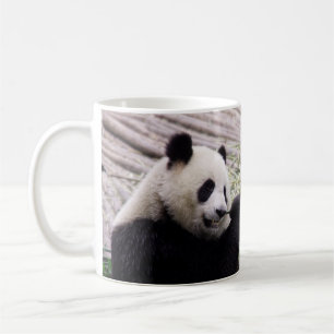 Mok Panda