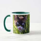 Mok pantserkoek (Links)