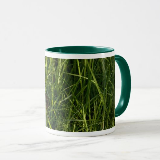 Mok pantserkoek (Voorkant rechts)