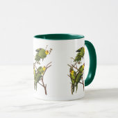 Mok: Parkiet - door John Audubon Mok (Voorkant rechts)