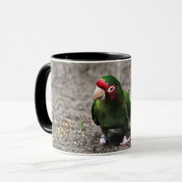 Mok Parrot Coffee