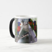 Mok Parrot en Lorikeets (Voorkant links)