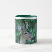 mok "partijdier" (Midden)