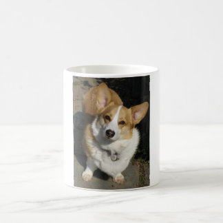 Mok Pembroke Welsh Corgi