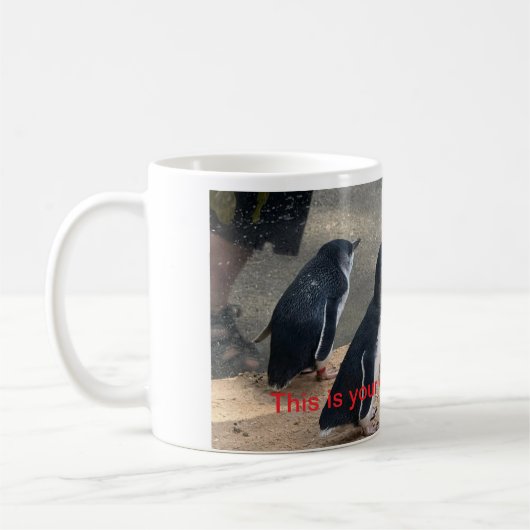 Mok Penguin (Links)