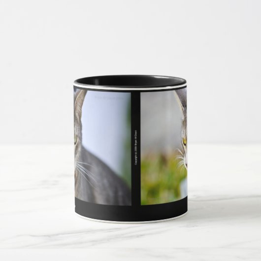 Mok Pepin en Louis (Midden)