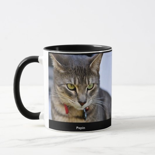 Mok Pepin en Louis (Links)