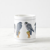 Mok Peregrine Falconry (Center)