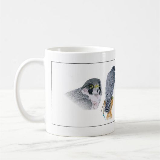 Mok Peregrine Falconry (Links)