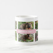 Mok Pet Collage Photo (Center)