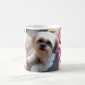 Mok Pet Memory (Center)