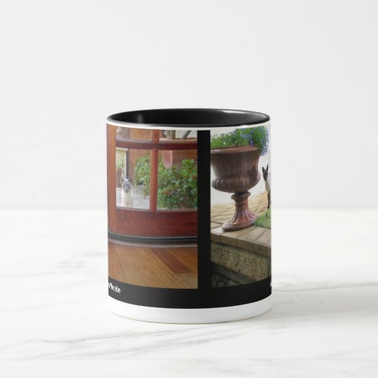 Mok Phoebe en Nina (Midden)