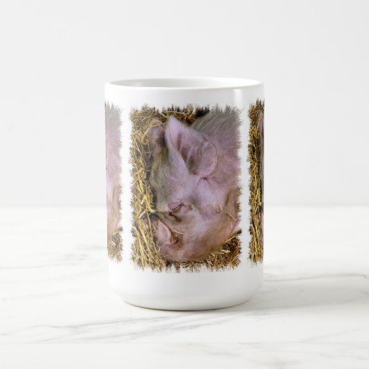 Mok PIGS COFFEE (Center)