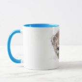 Mok Pine Marten (Links)