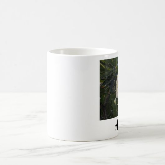 Mok Plumeria Coffee (Center)