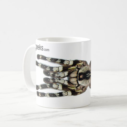 Mok - Poecilotheria regalis (Indische sierbloem) (Voorkant links)