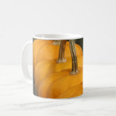 Mok pompoen (Voorkant links)