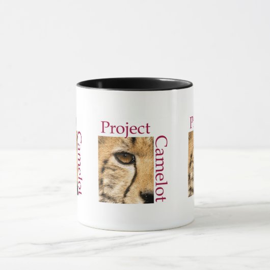 MOK PROJECTCAMELOT (Midden)