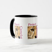 MOK PROJECTCAMELOT (Voorkant links)