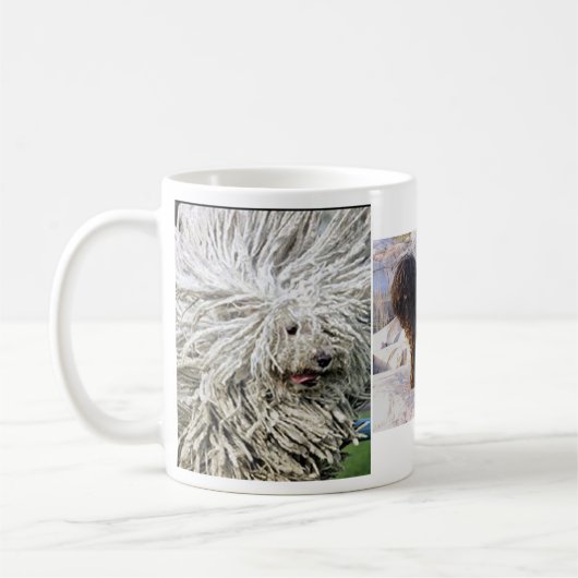 Mok PULI DOG (Links)