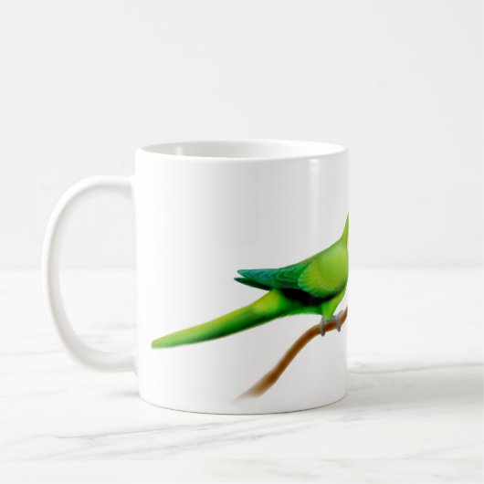 Mok Quaker Parrots (Links)