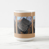 Mok rechten van het Man van Thomas Paine (Center)