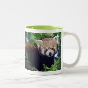 Mok Red Panda